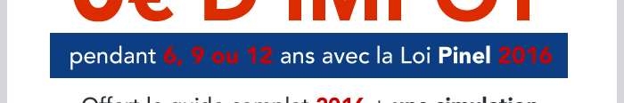 Pendant 6, 9 ou 12 ans avec la Loi Pinel