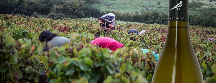 Domaine Coteaux des Margots